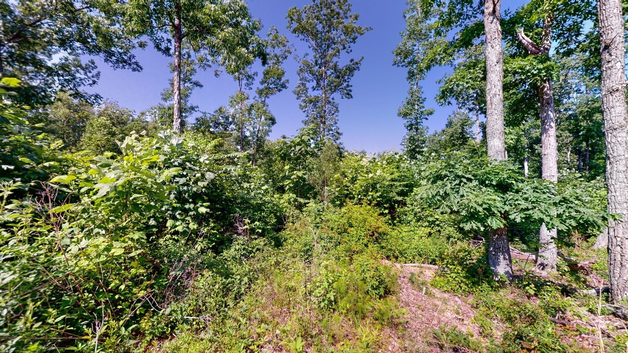 820 Overlook Trl
