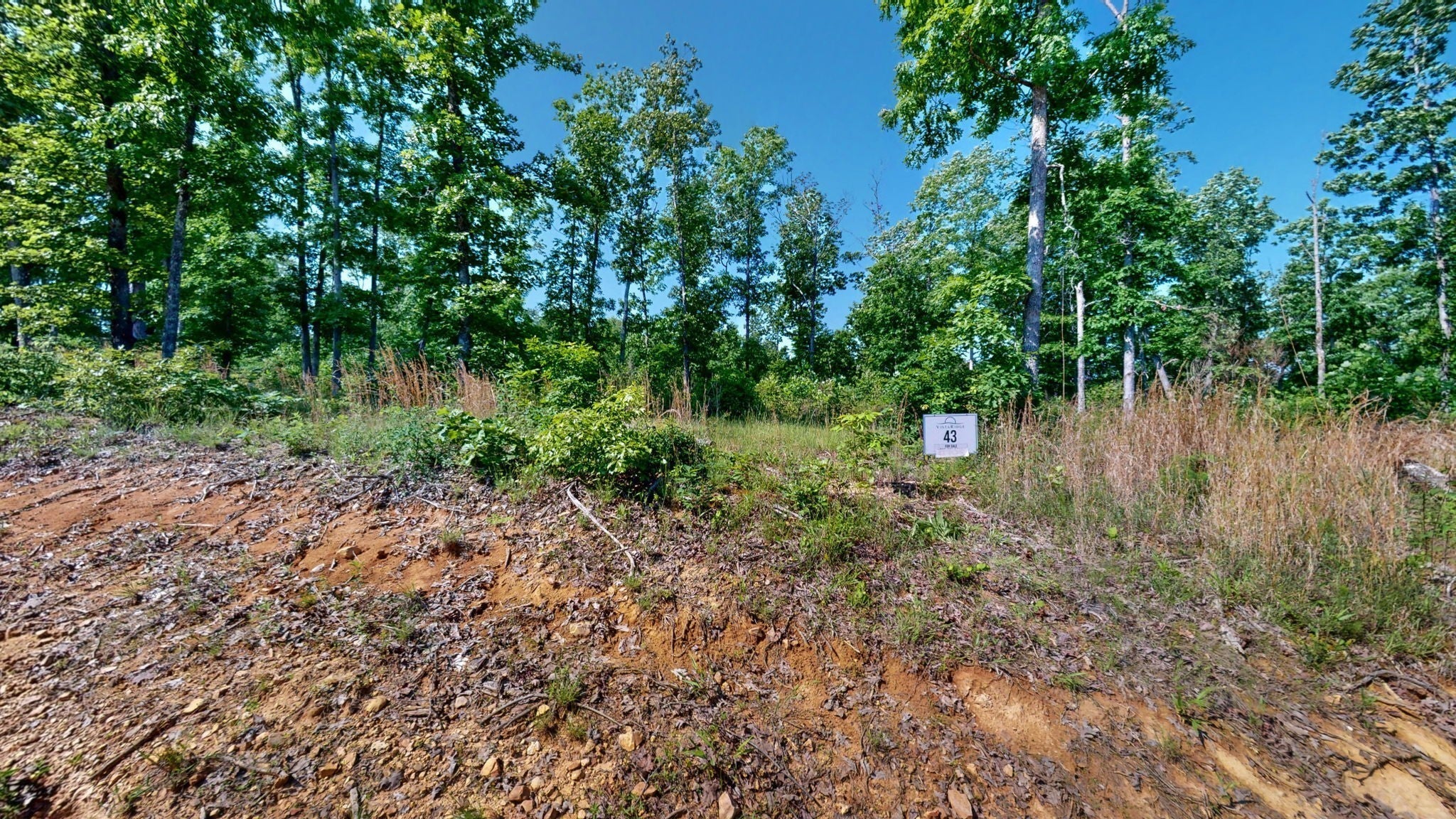 820 Overlook Trl