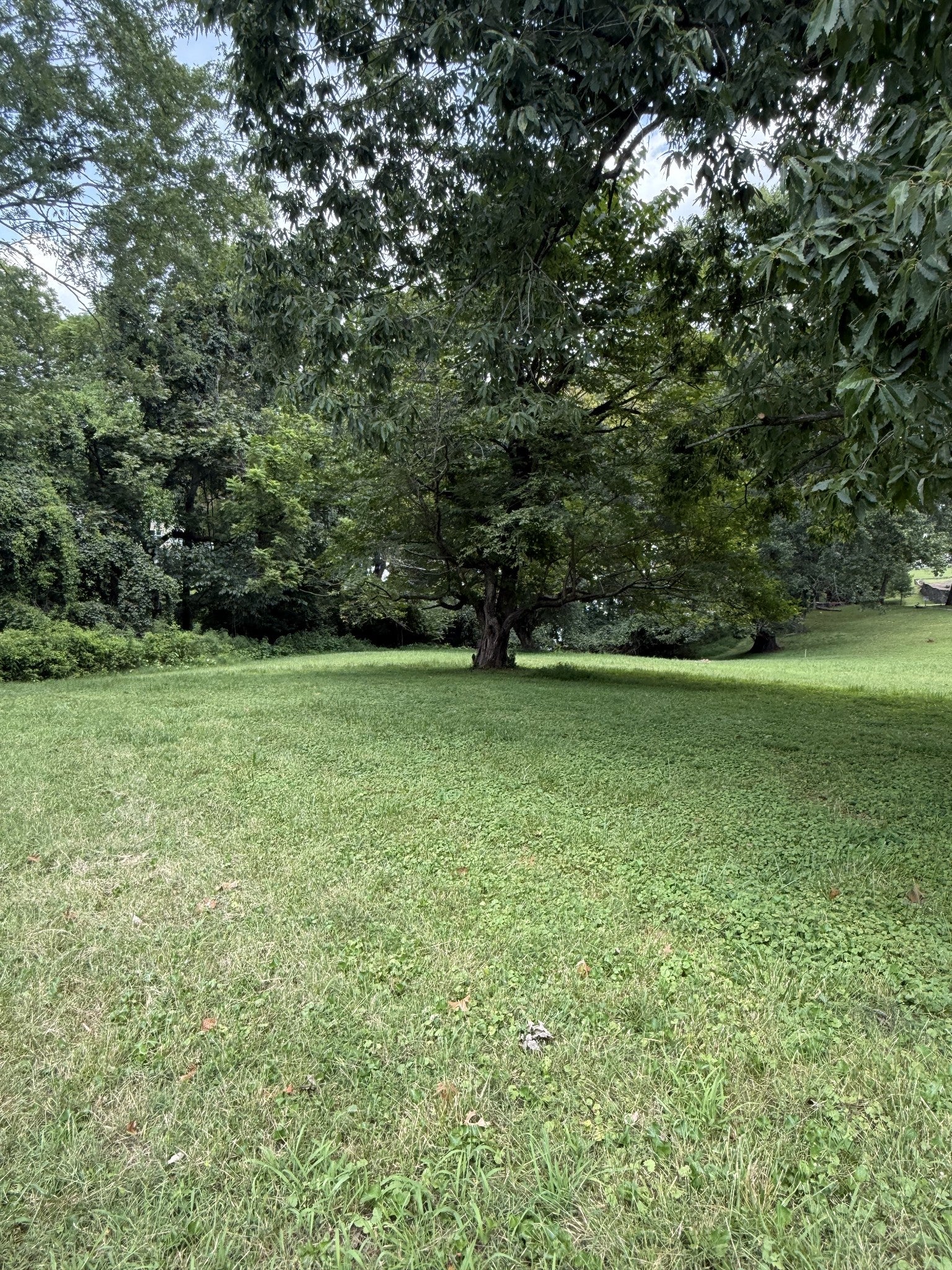 0 Windsor Drive