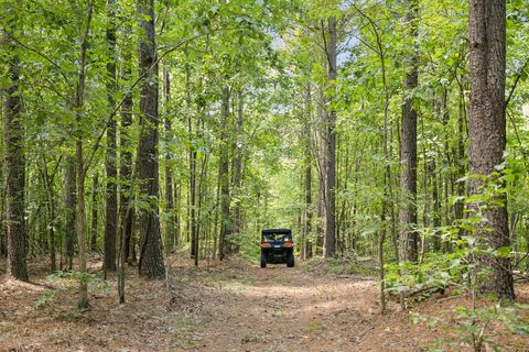 9971 Birdsong Road Holladay TN 38341
