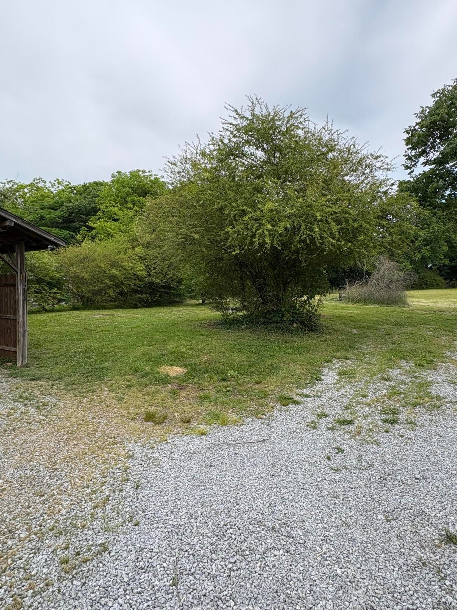 1117 Bledsoe Road