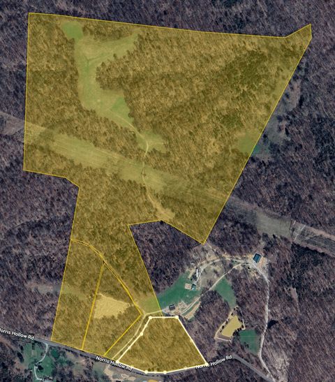 900 Norris Hollow Rd Vanleer TN 37181