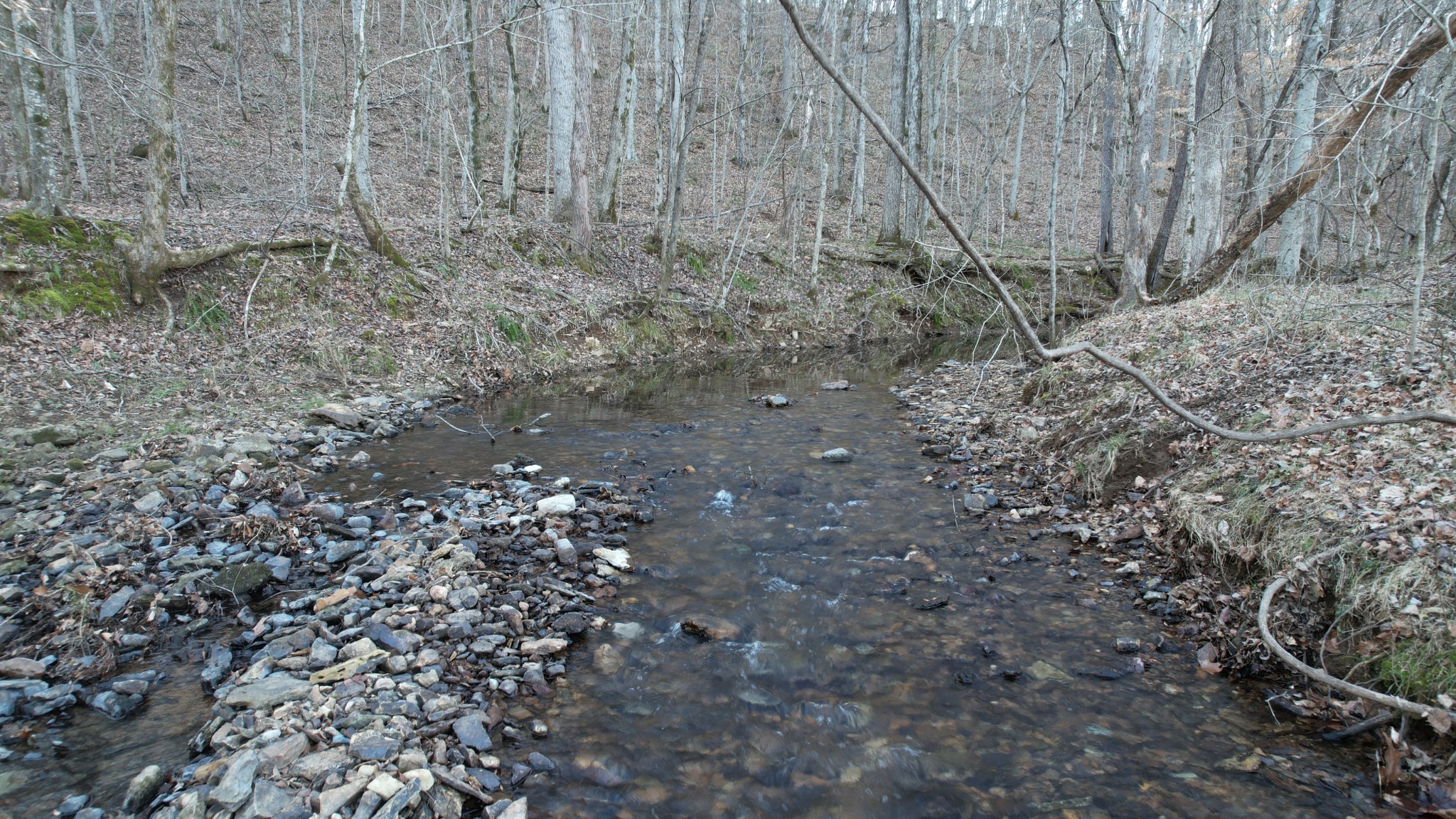 3795 Wayland Springs Rd