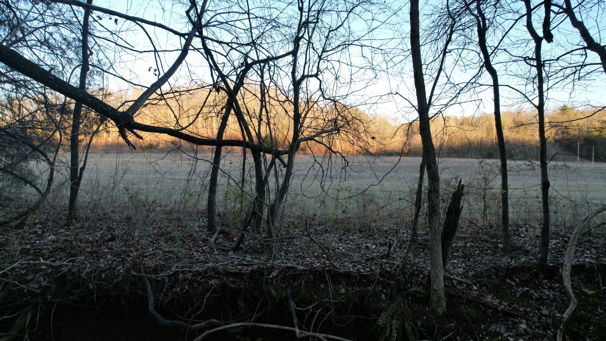 3795 Wayland Springs Rd