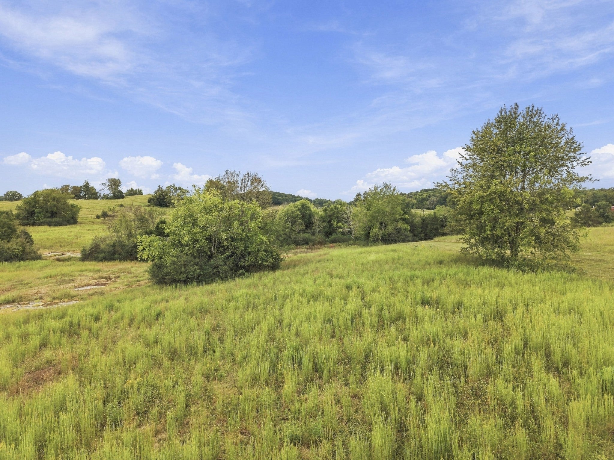 7 Cedar Bluff Rd