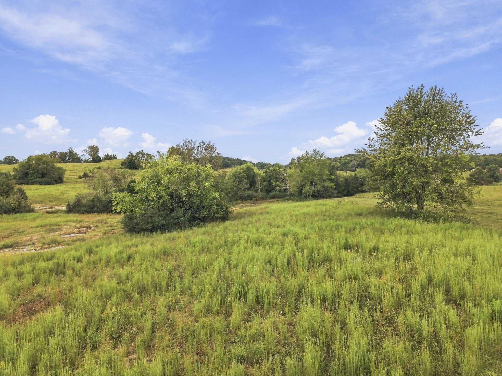 7 Cedar Bluff Rd
