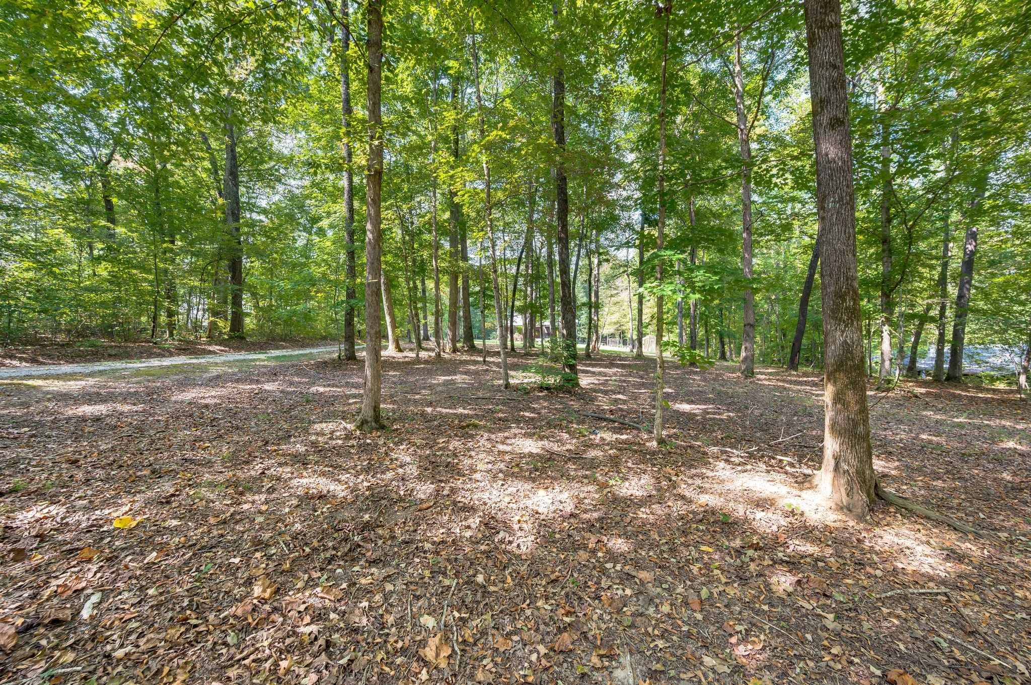 1168 Johnny Hall Rd