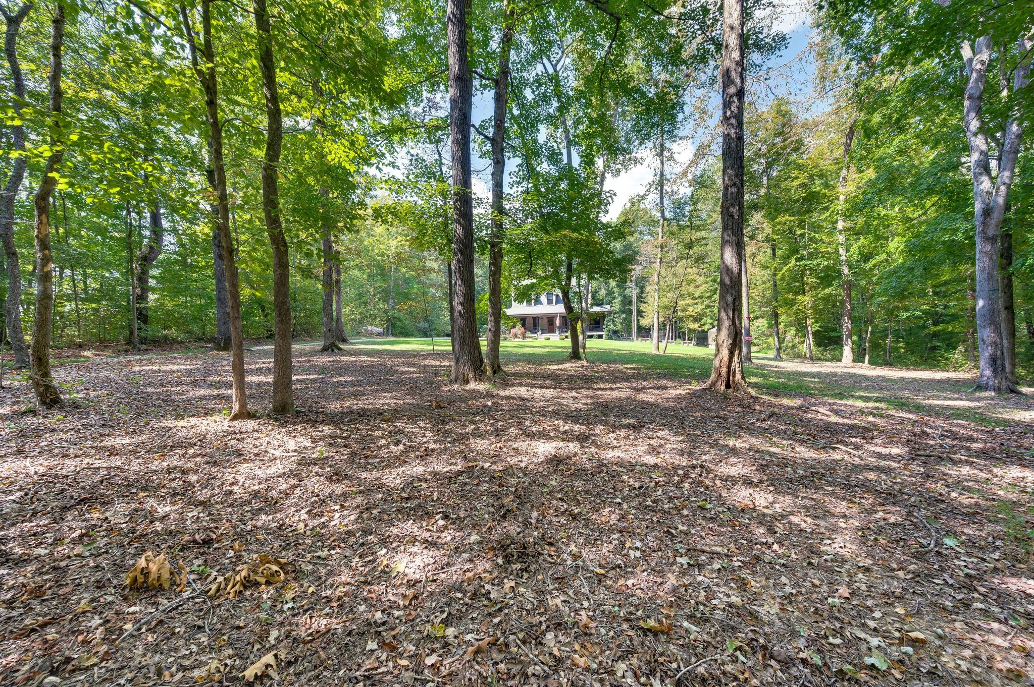 1168 Johnny Hall Rd