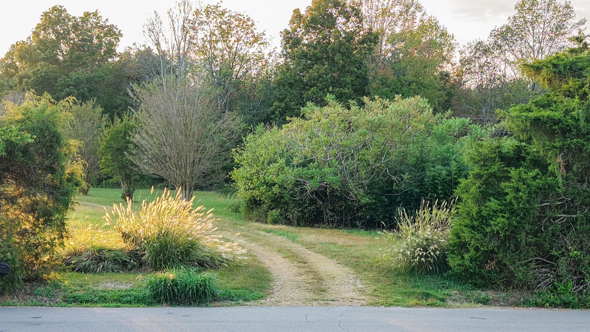 421 Pea Ridge Rd
