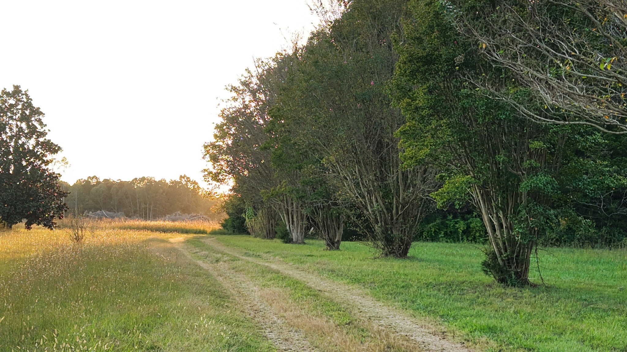 421 Pea Ridge Rd