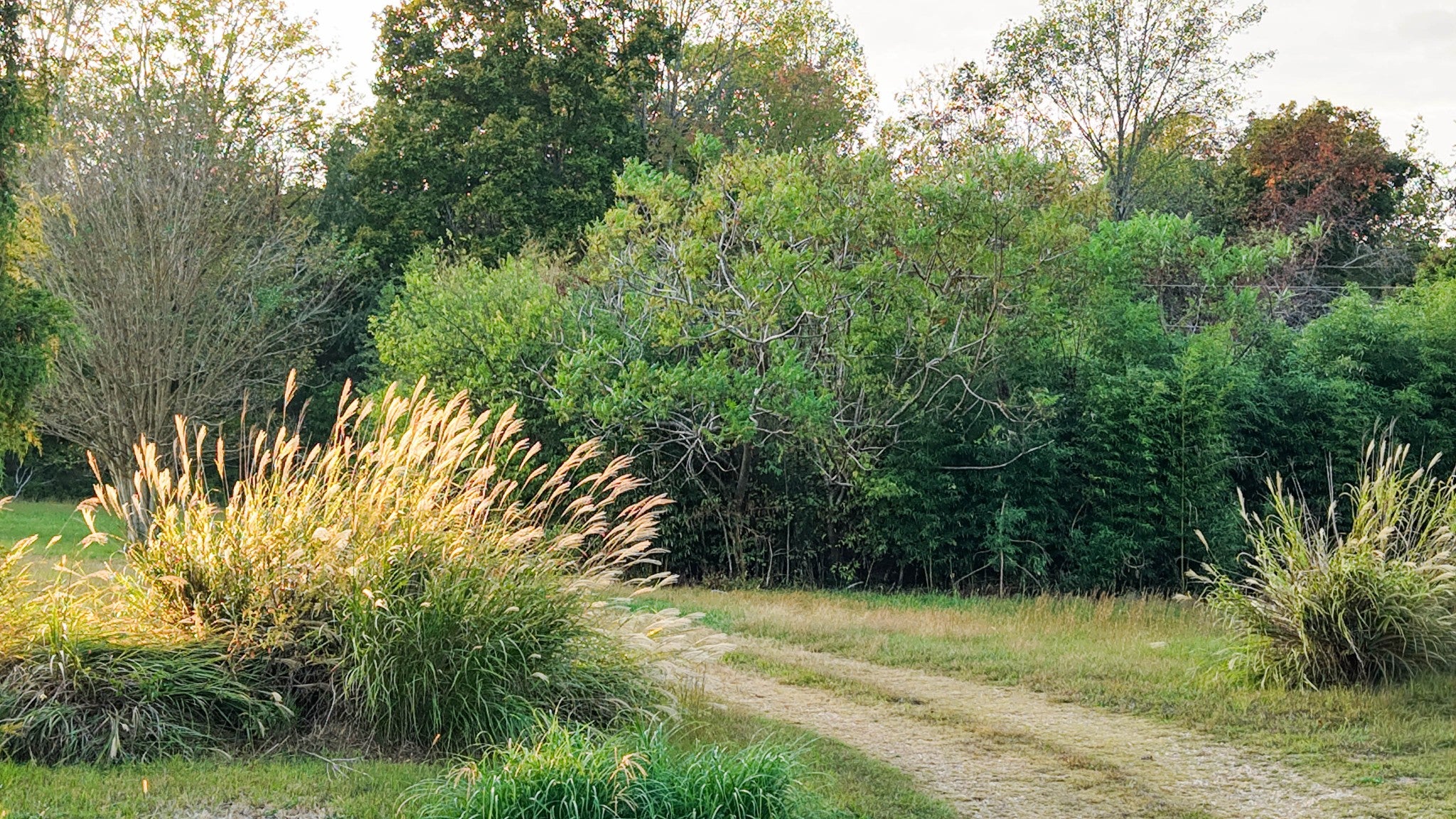 421 Pea Ridge Rd
