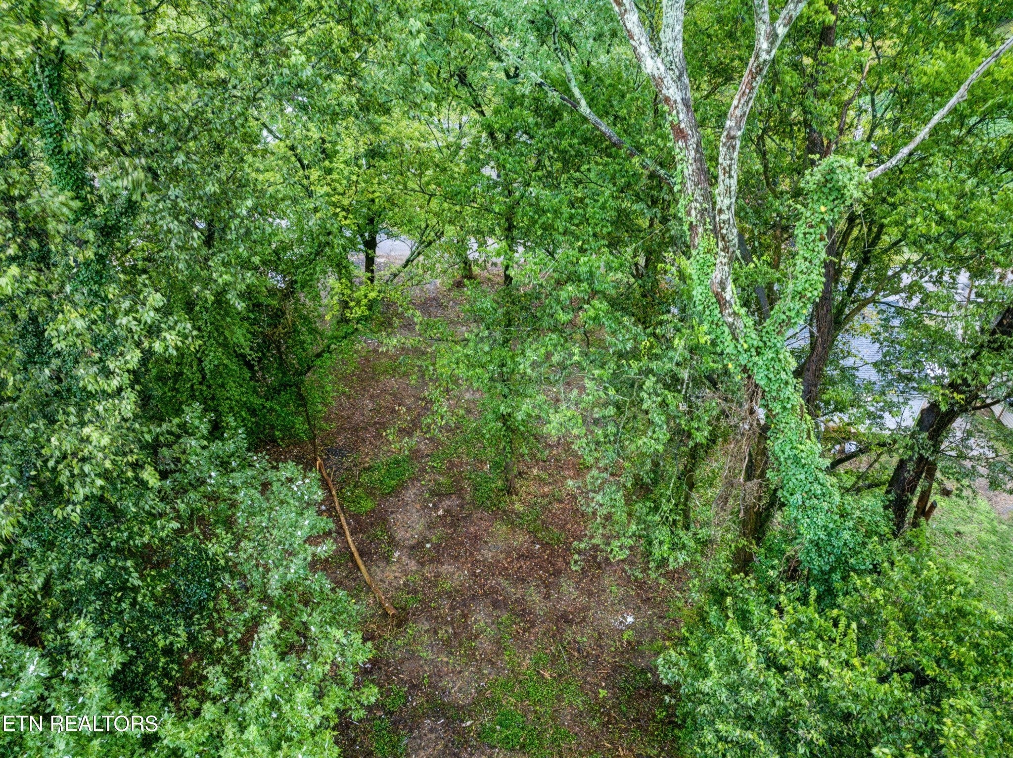 3109 Landview Drive