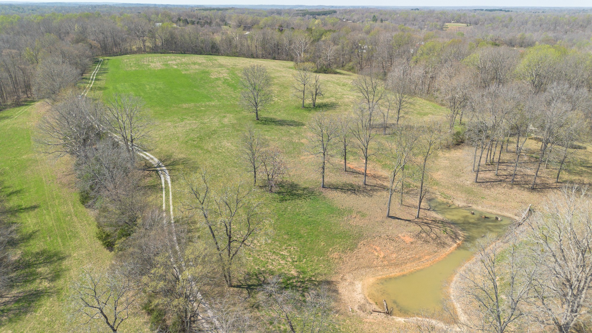 1904 Millers Chapel Rd