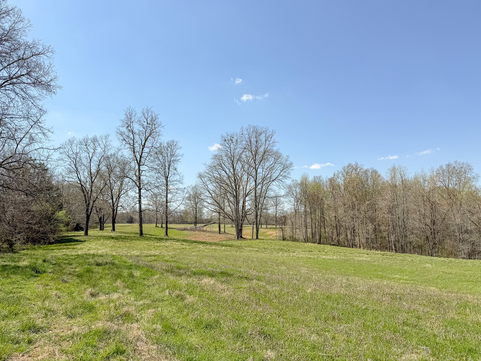 1904 Millers Chapel Rd