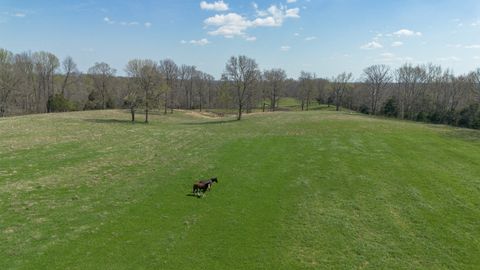 1904 Millers Chapel Rd Charlotte TN 37036