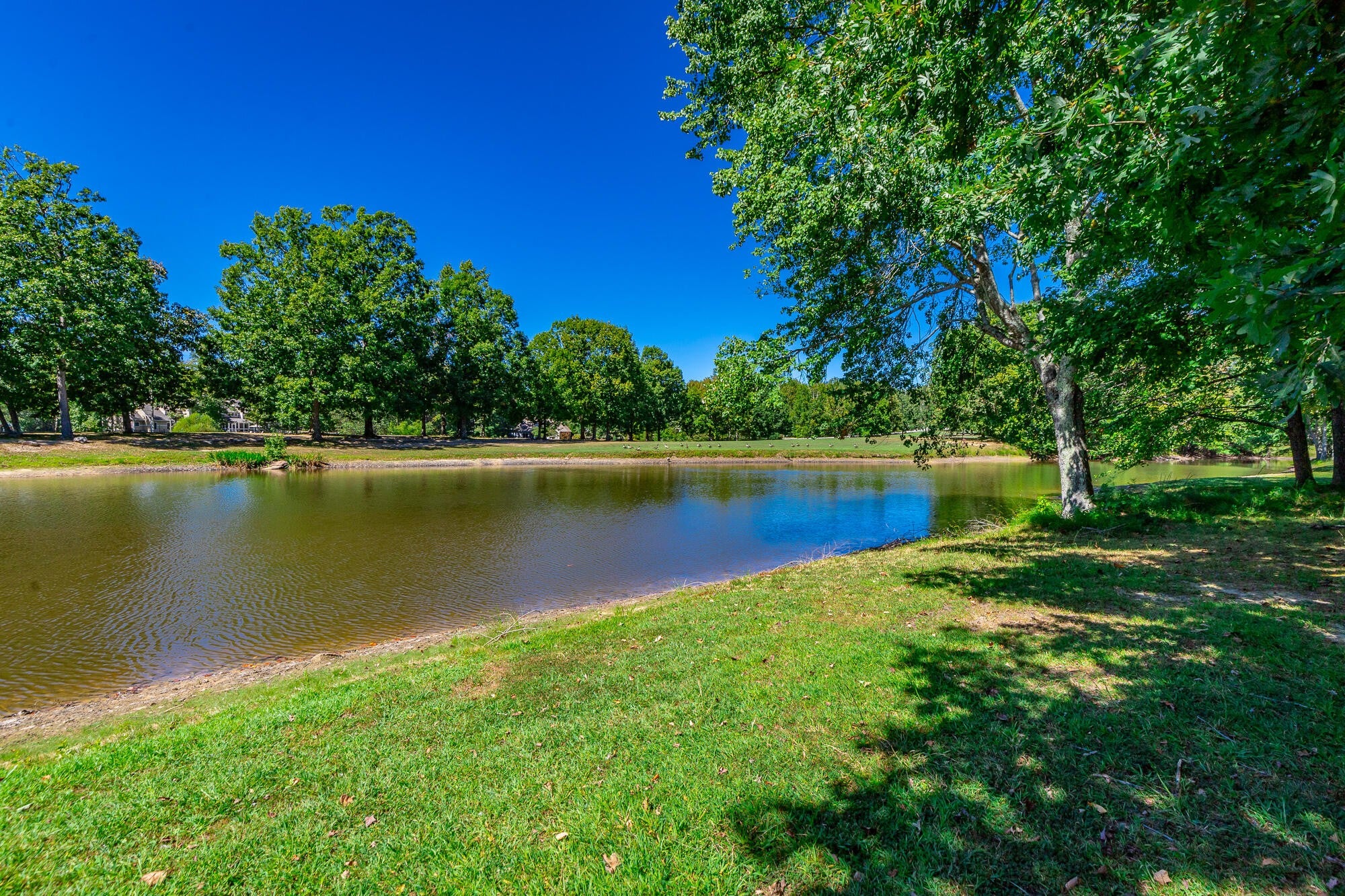 9013 Brow Lake Road