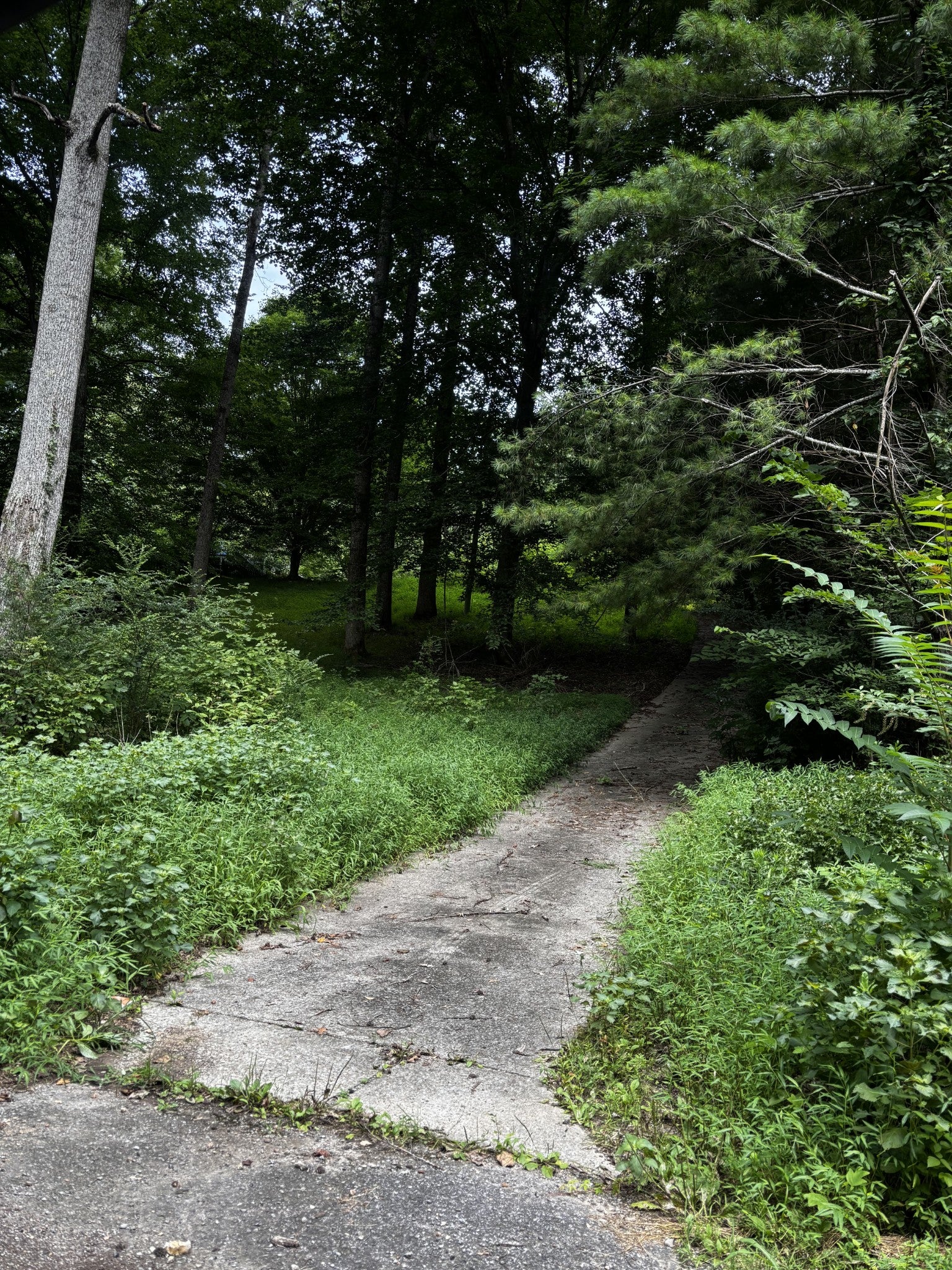 420 Shepherd Hollow Rd
