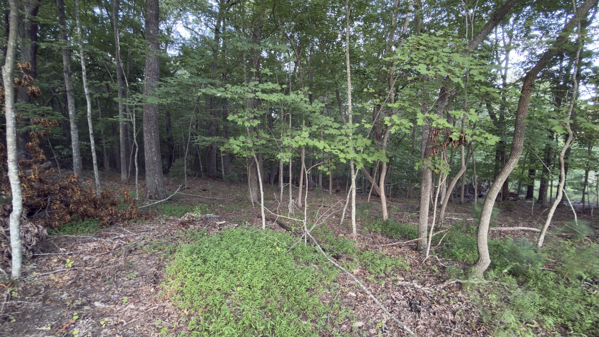 25 Chatham Ct - Photo 3