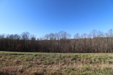 171 Coley Court Lafayette TN 37083