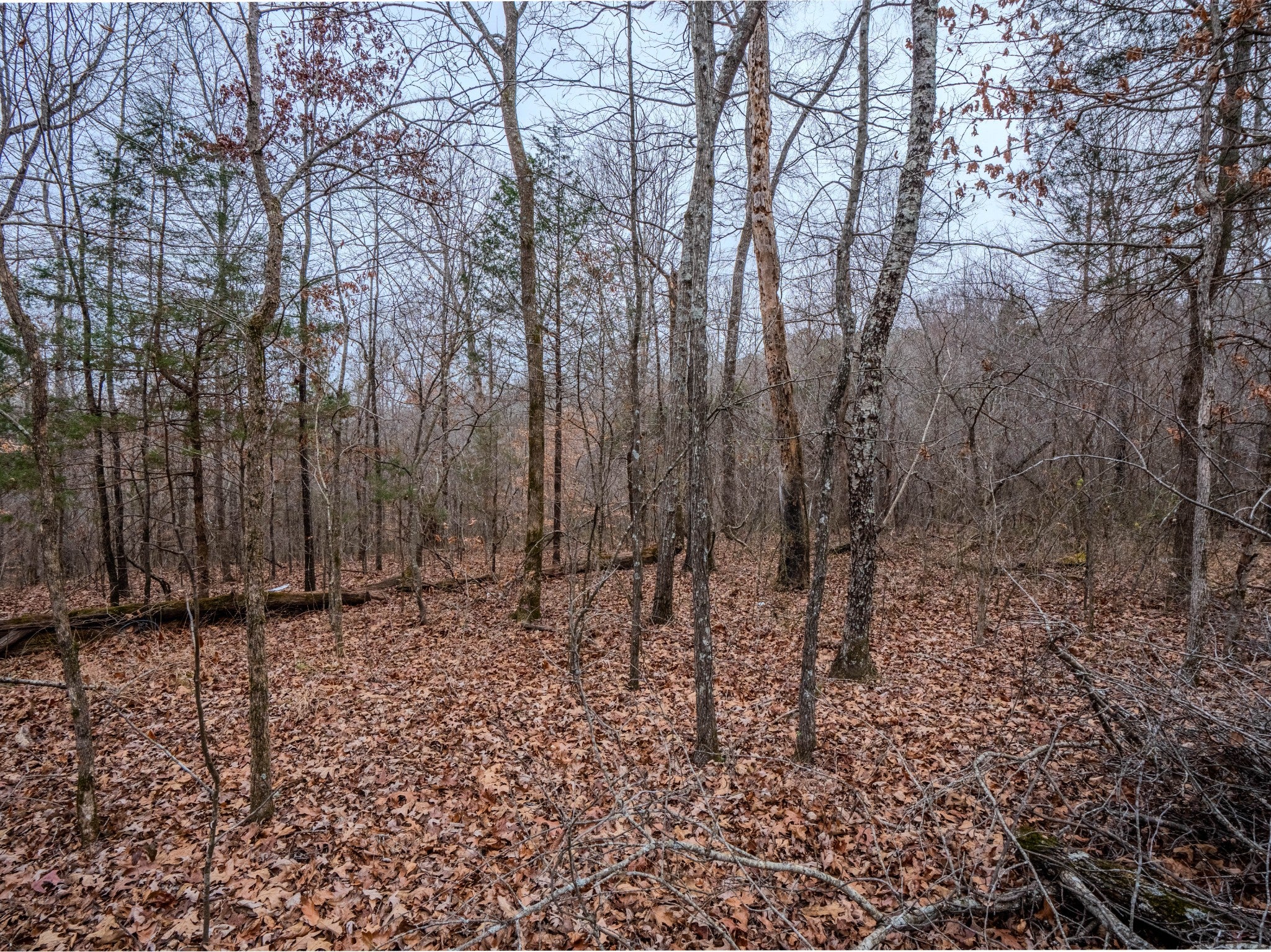 366 Ridge Rd