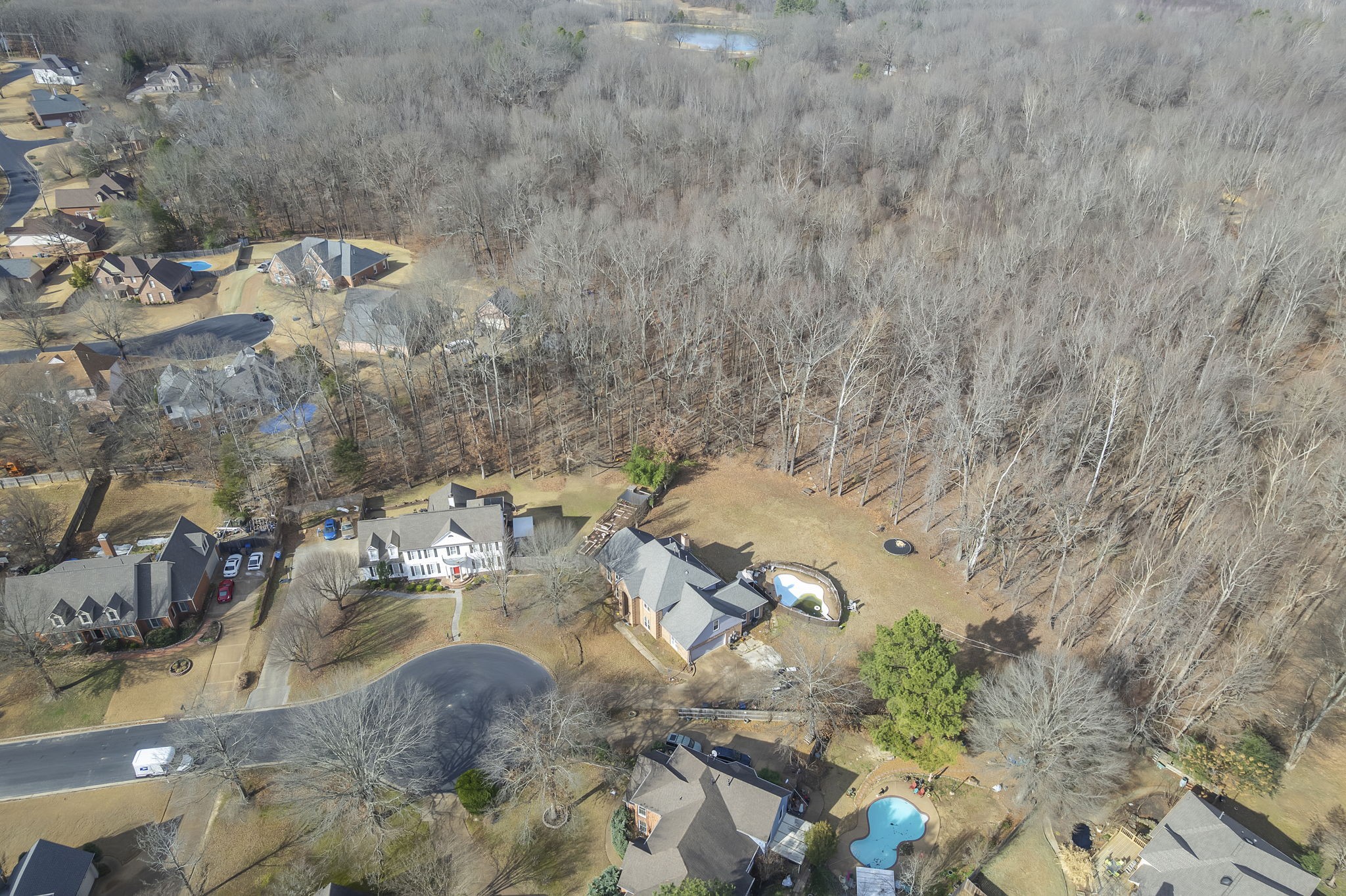 4205 Pheasant Hill Cv N