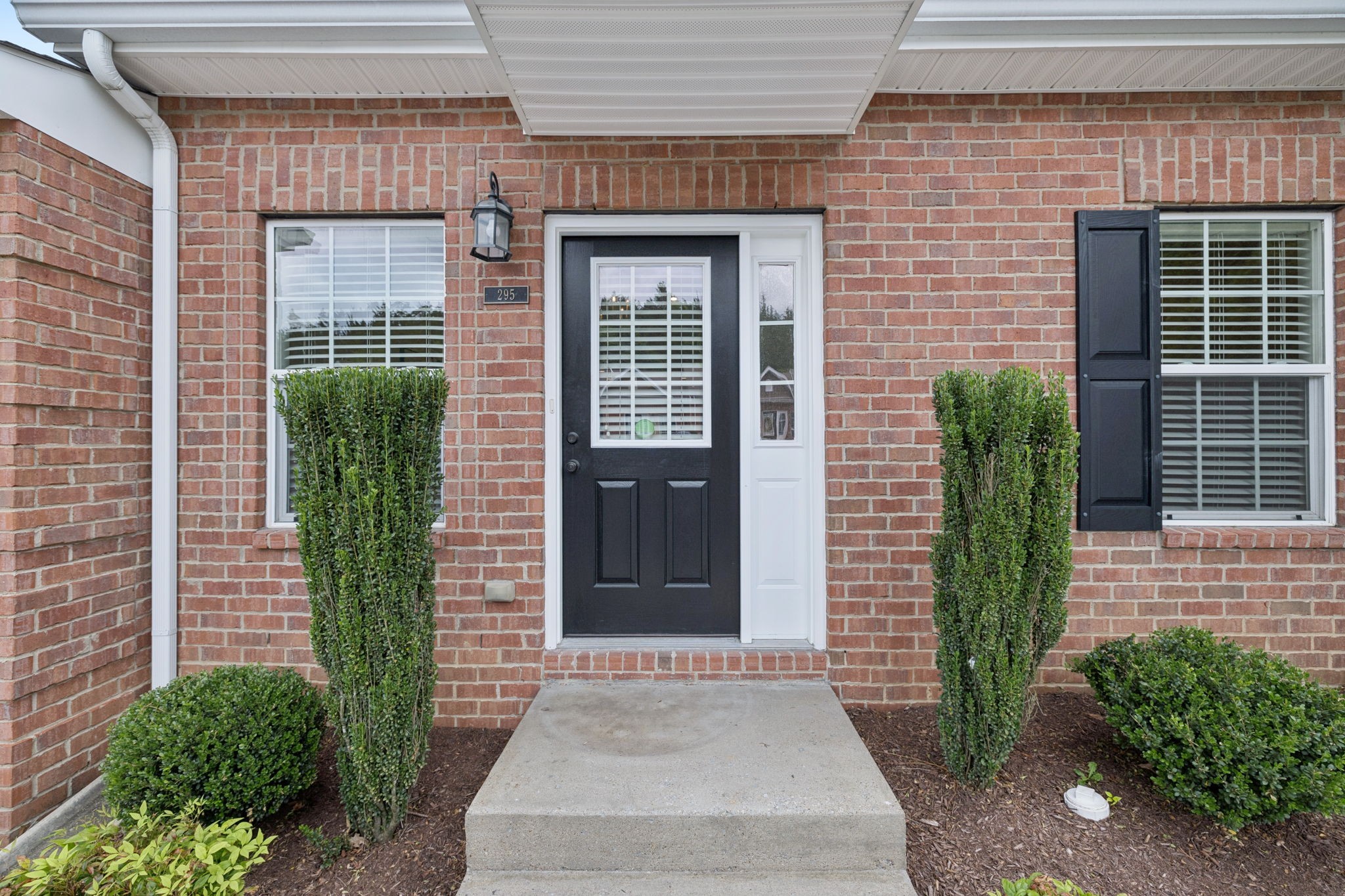 1101 Downs Blvd 295