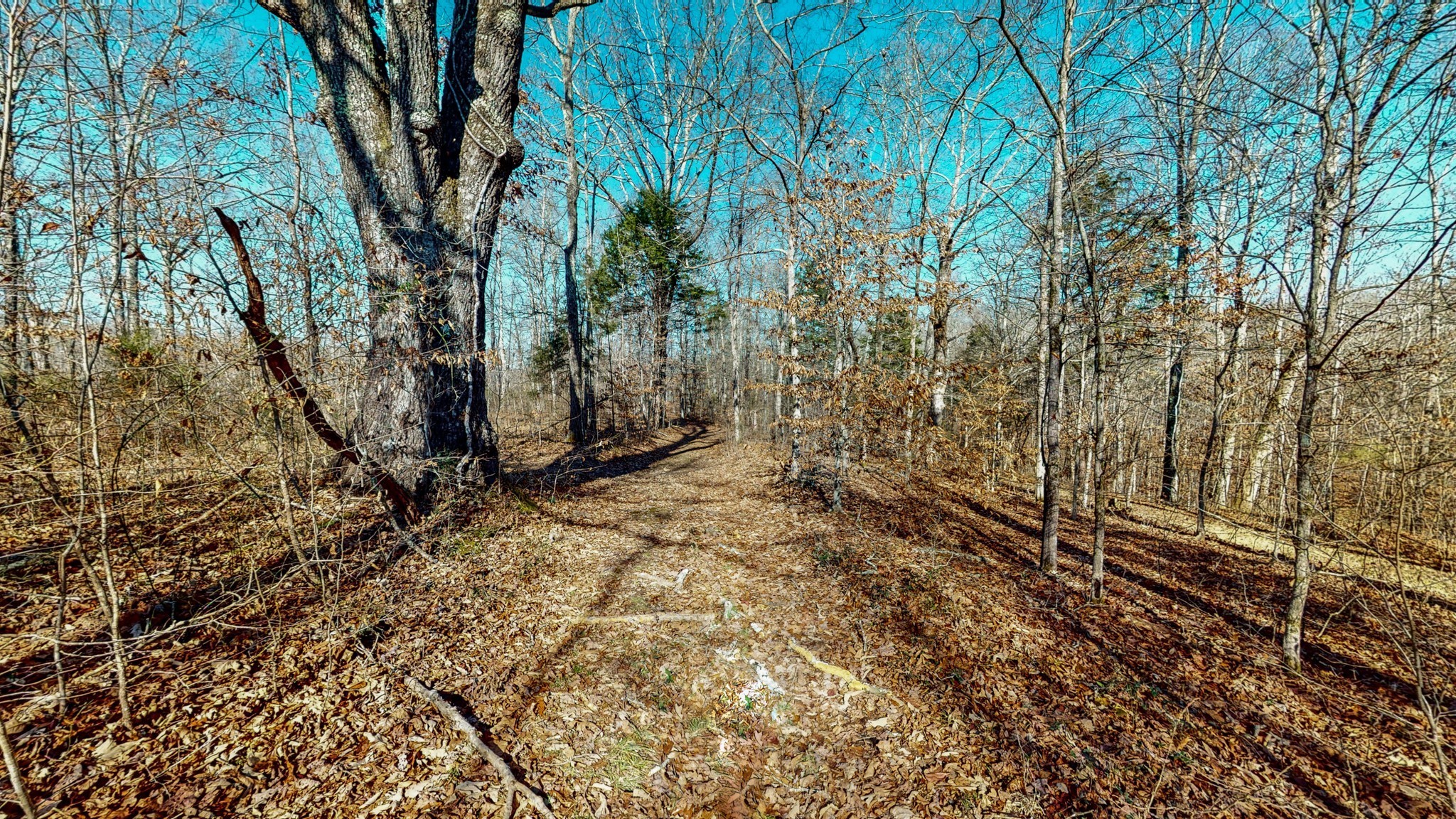 0 Opossum Hollow Rd