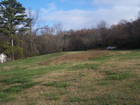 Columbia Hwy, Pulaski, TN 38478 - MLS#: 2765625