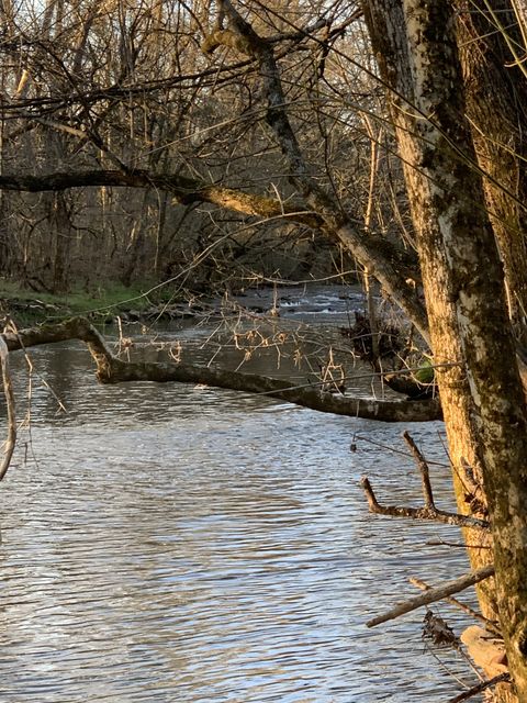 0 Highway 431 S Columbia TN 38401