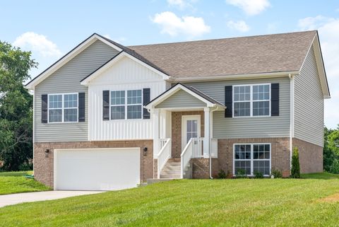 1258 Elizabeth Lane Clarksville TN 37042