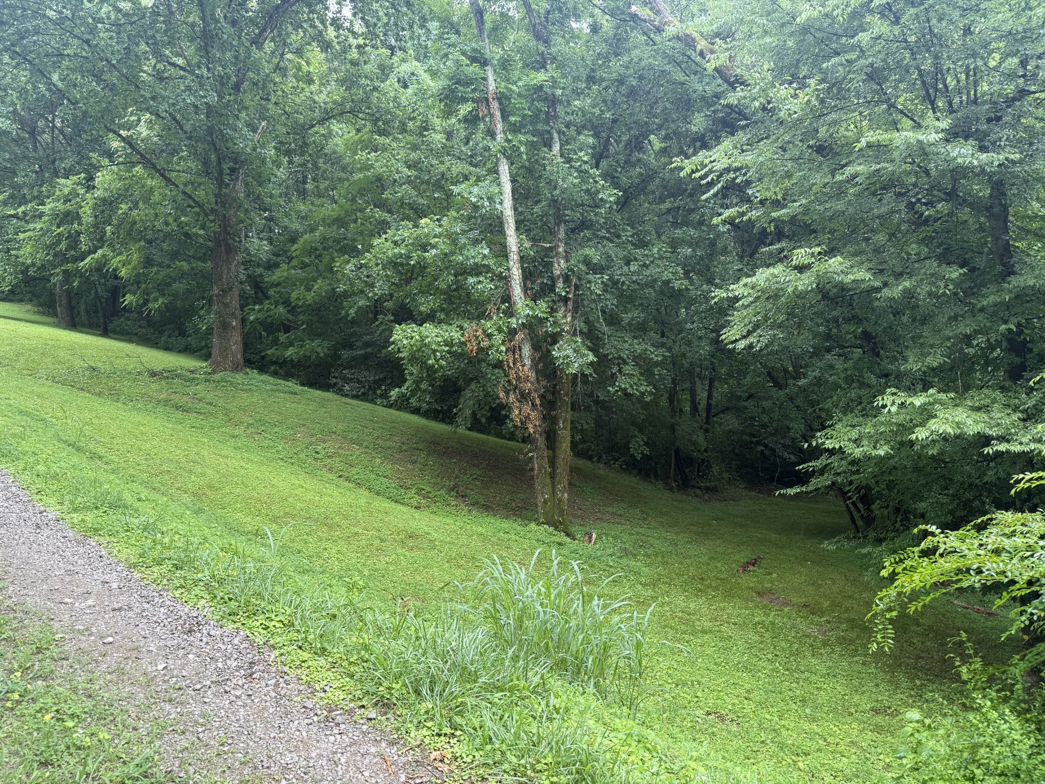 6437 Peytonsville Arno Rd, College Grove TN 37046 0-bed lot, photo 4 of 26