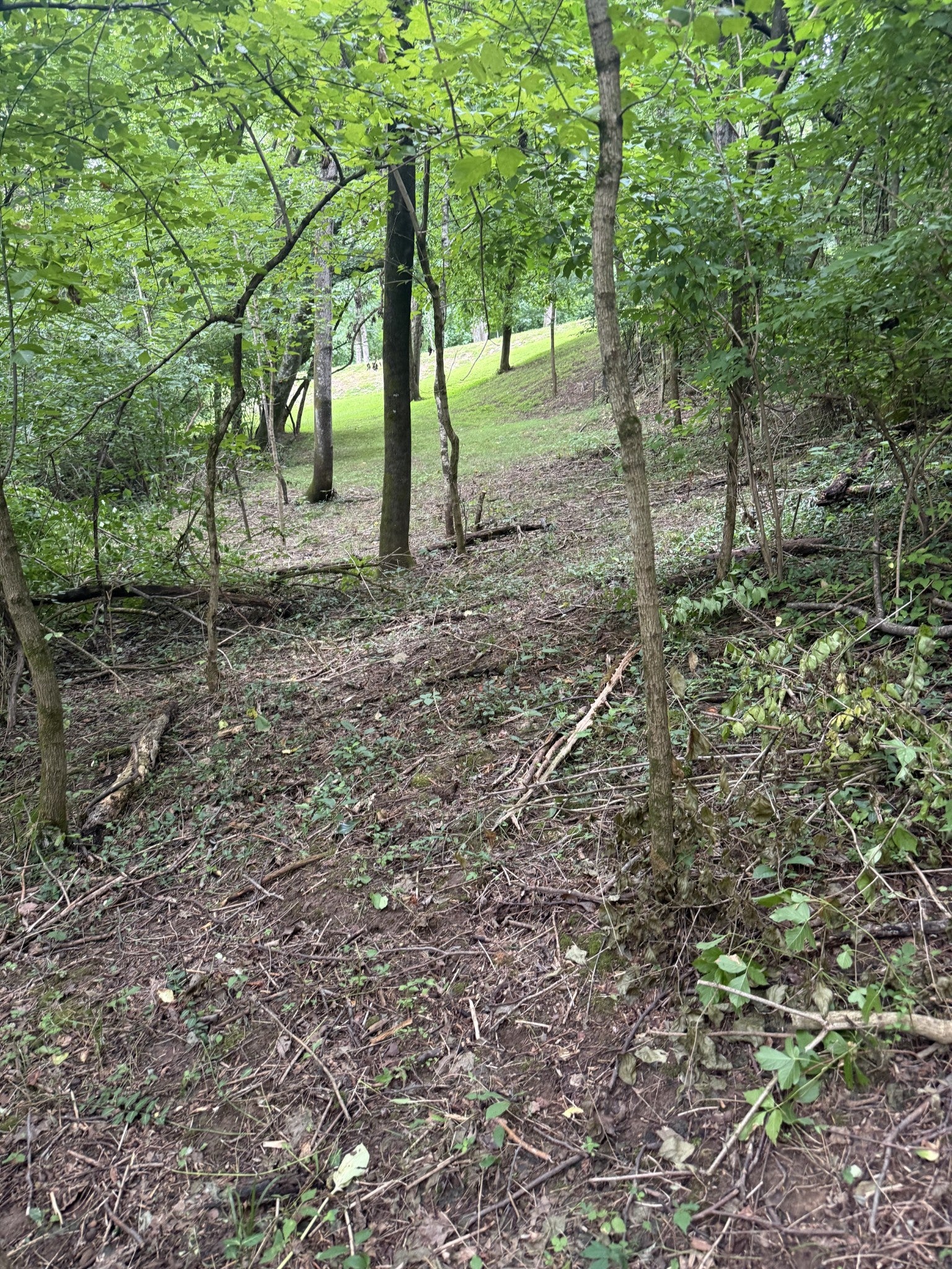 6437 Peytonsville Arno Rd, College Grove TN 37046 0-bed lot, photo 5 of 26