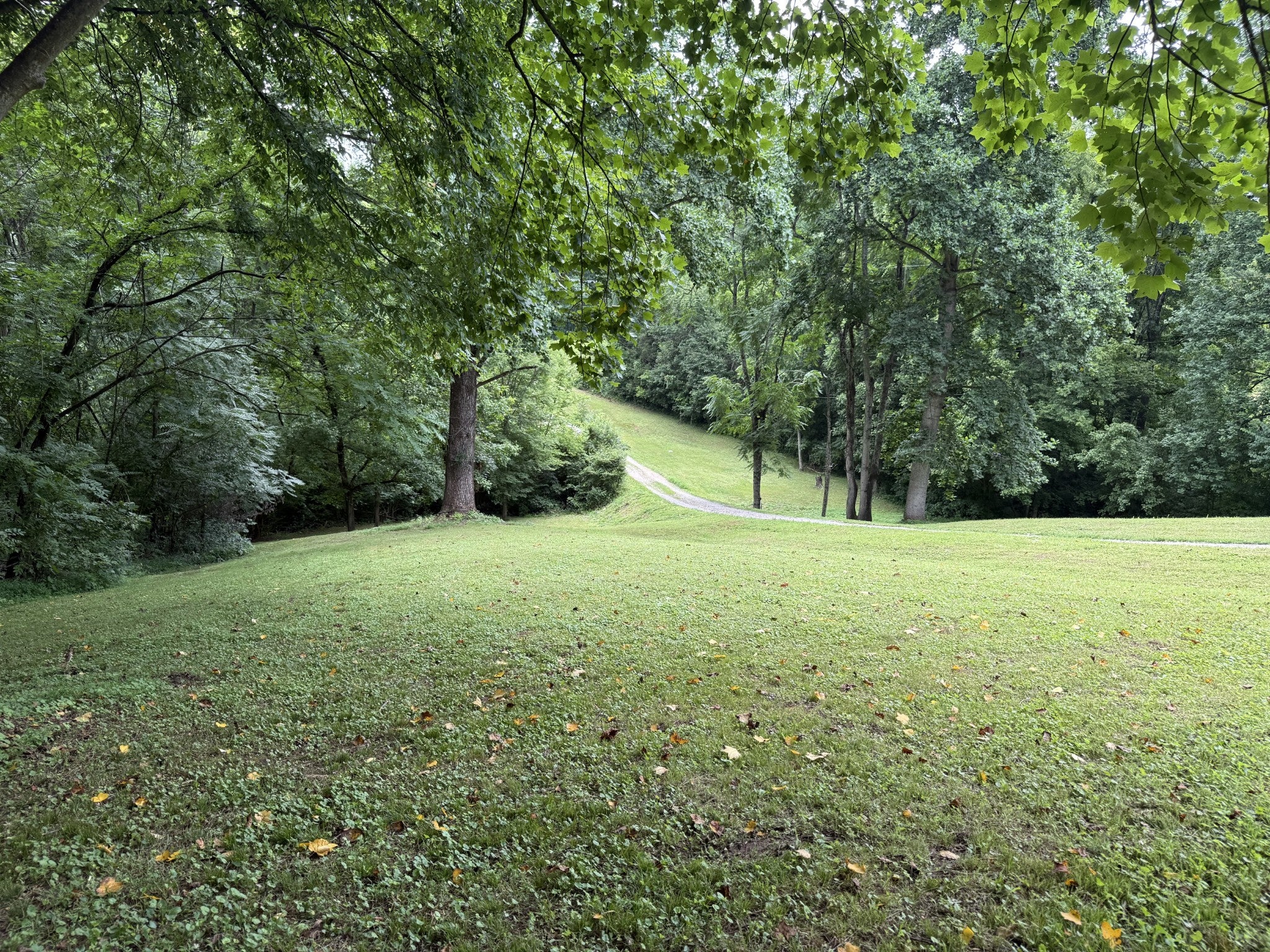 6437 Peytonsville Arno Rd