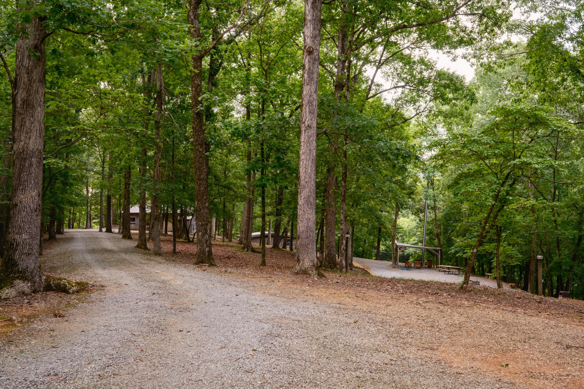 580 White Graves Road