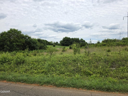 BAKER SPRINGS RD, WHITE PINE, TN 37890 - Image a2f7a07c2cfec56ed2836990fe19ea3c/1477393627