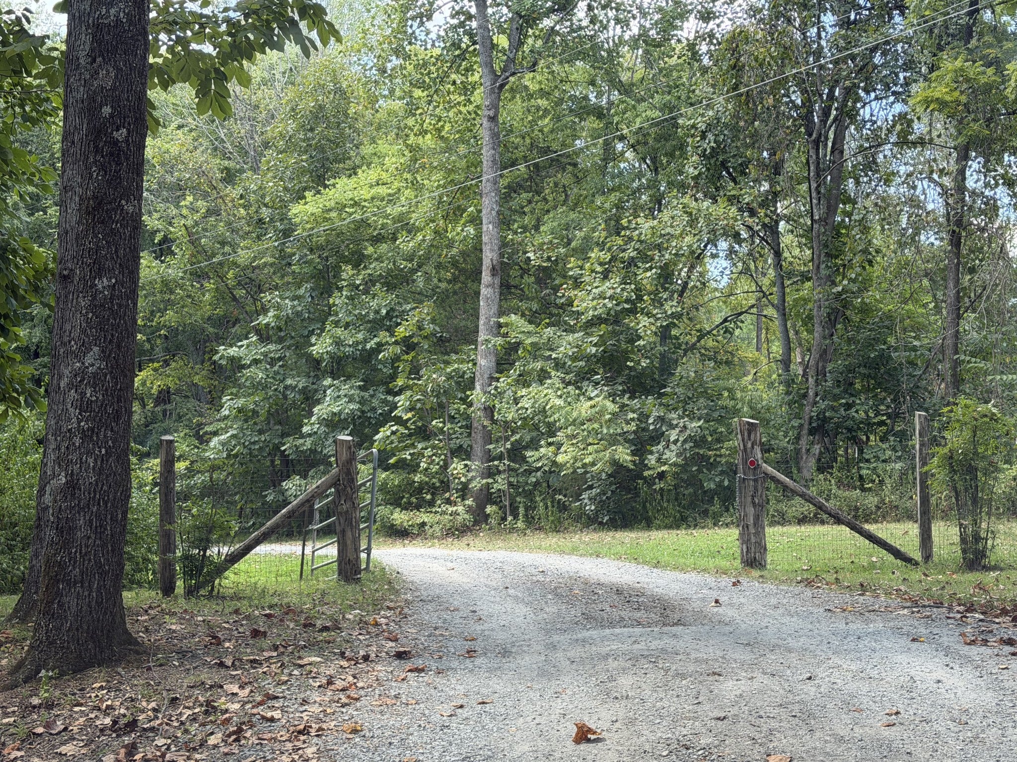 305 Maxwell Branch Rd