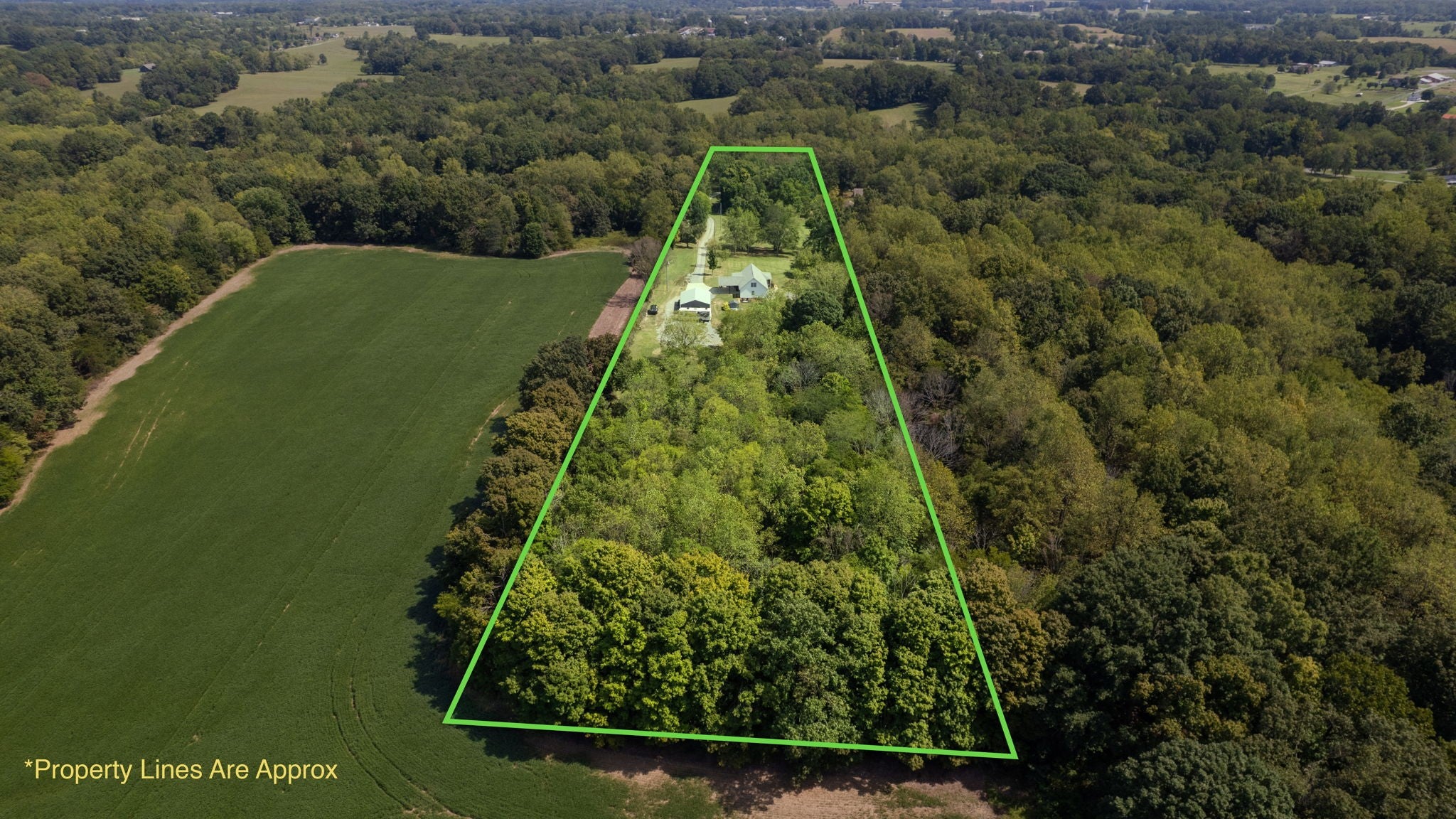 305 Maxwell Branch Rd - Photo 4
