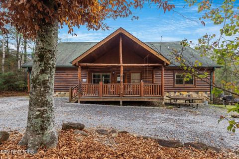 203 Amet Way Cosby TN 37722