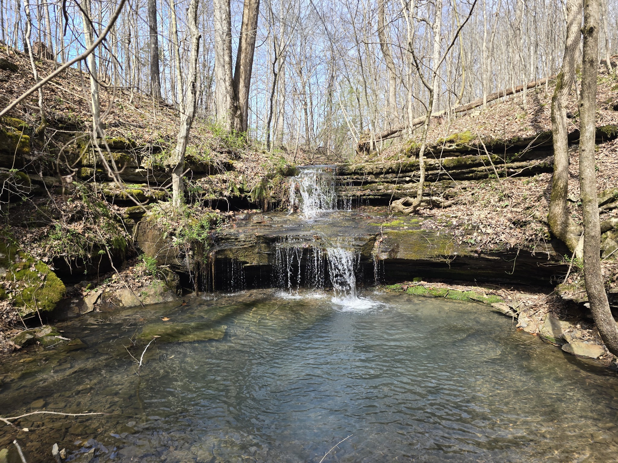 1125 Rose Hill Rd