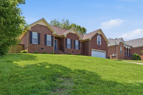 Photo of 527 Johnstown Dr, Smyrna, TN 37167 (MLS # 3183470)