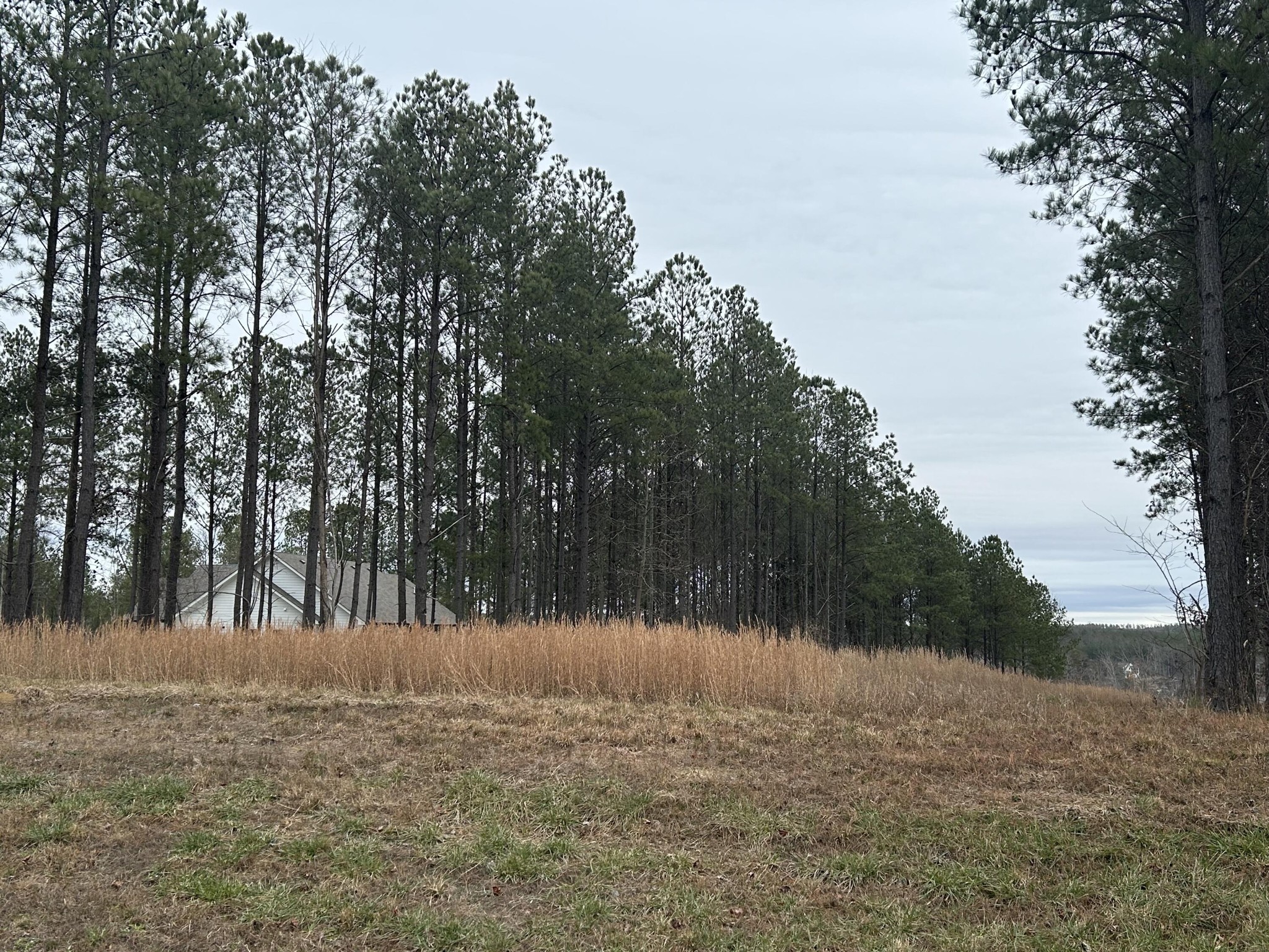 1080 Crockett Loop