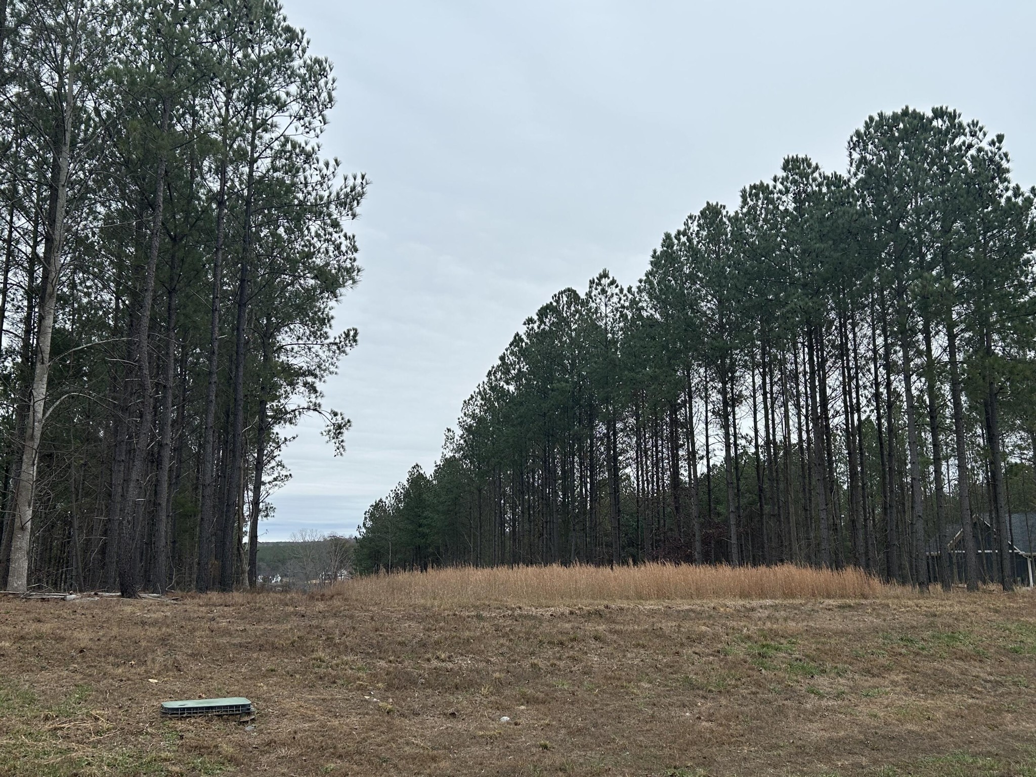 1080 Crockett Loop
