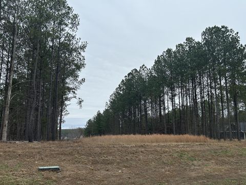 1080 Crockett Loop Jasper TN 37347