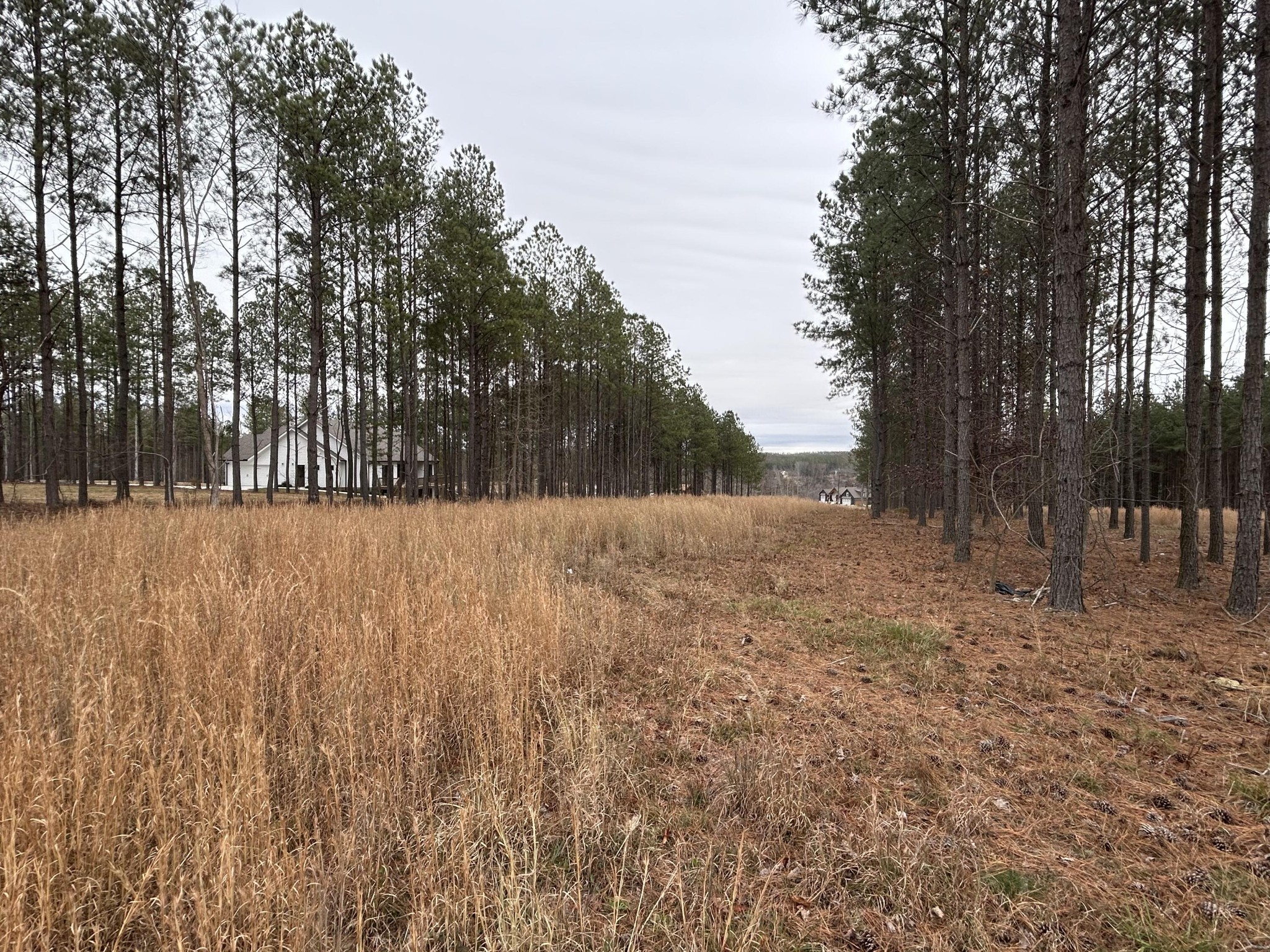 1080 Crockett Loop