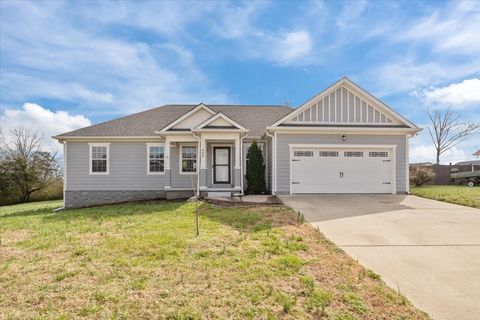 459 Diane Loop White Bluff TN 37187