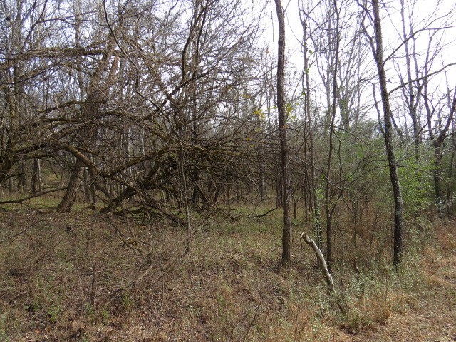 958 dollar hollow road