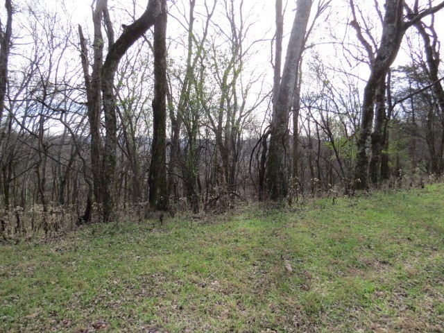 958 dollar hollow road