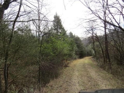 958 dollar hollow road Pulaski TN 38478