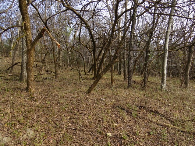958 dollar hollow road