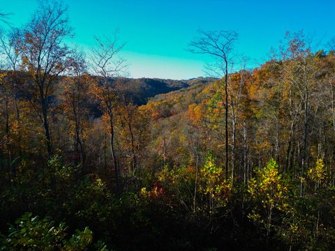 0 Rock Springs Rd Celina TN 38551